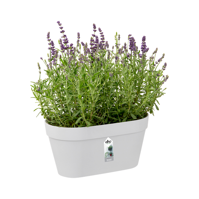 loft urban green wall duo 28cm wit